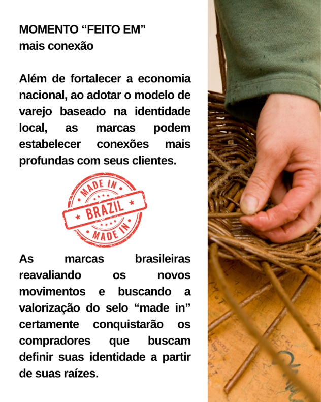 Imagem13
