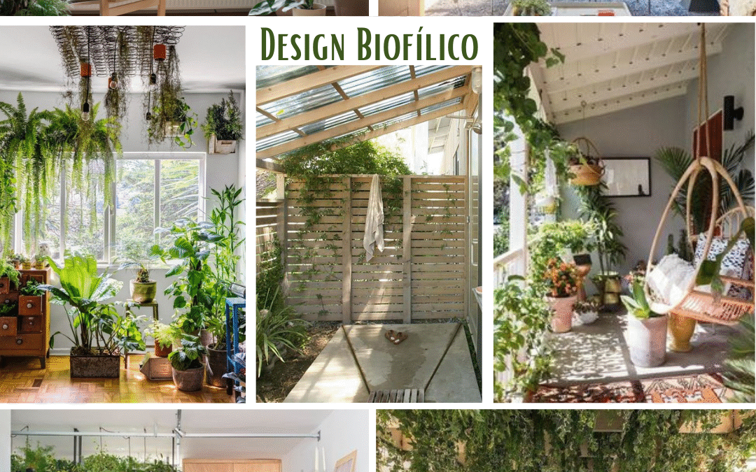 Design Biofílico